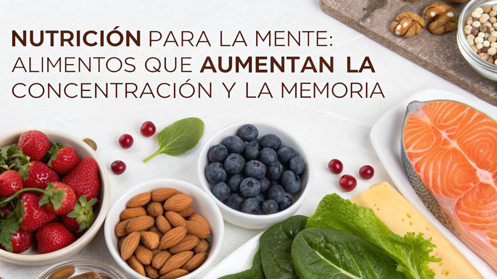 Nutrición para la Mente: Alimentos que Aumentan la Concentración y la Memoria